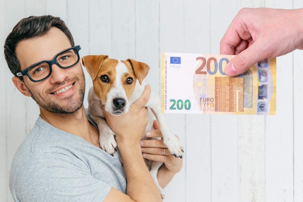 uomo cane in braccio banconota euro