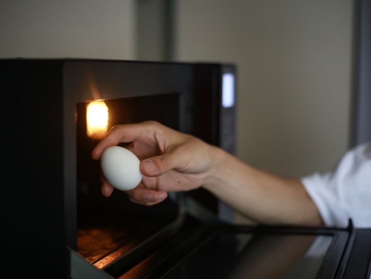 donna mette uovo nel forno a microonde