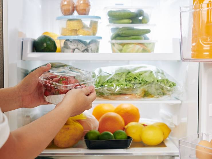 riporre cibo in frigo