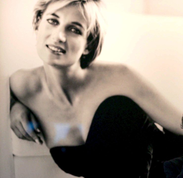 La principessa Diana