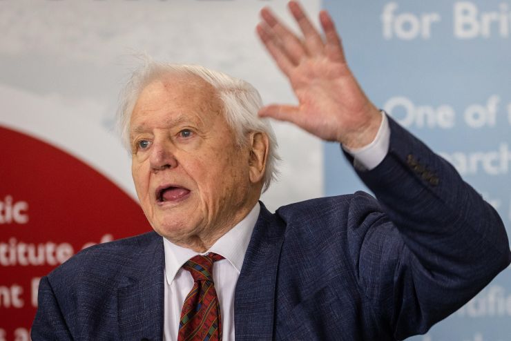 Il celebre divulgatore britannico, Sir David Attenborough