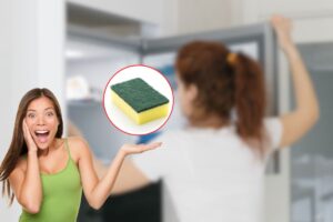 donna con freezer aperto e un'altra sorpresa con logo spugna