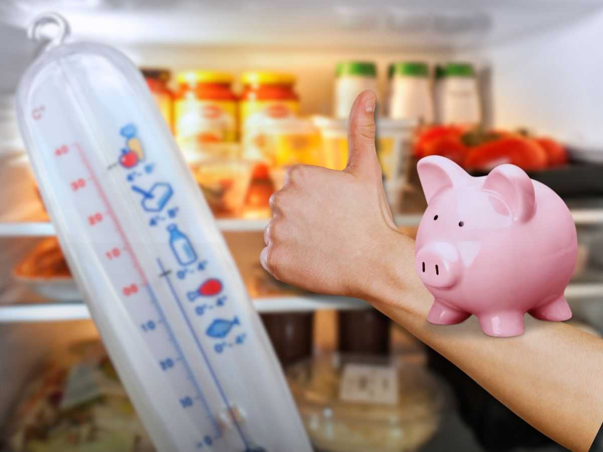 Frigo, se lo metti in questa posizione consuma quasi la metà dell'energia: finalmente la svolta